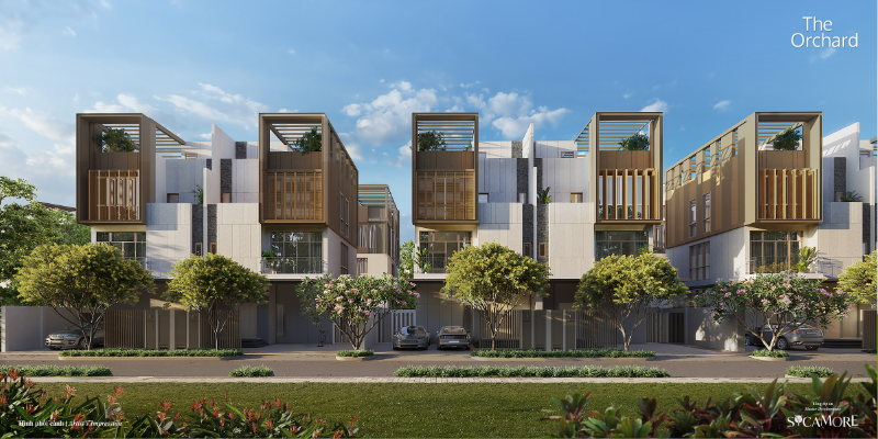 Phối cảnh Sycamore khu nhà phố 