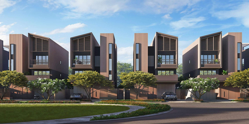 Biệt thự cao cấp Sycamore với quy mô lớn dành cho tầng lớp tinh hoa 