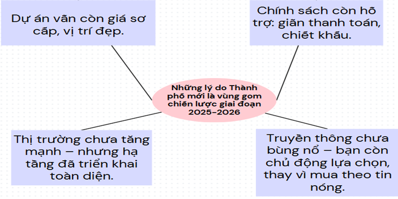 Infographic: Vùng gom 2025–2026 